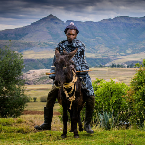 Motlatsi - Khosana | Black/Cobalt/Natural